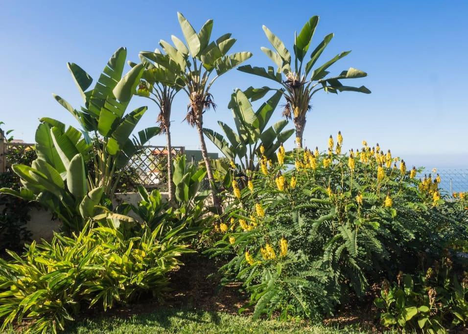 Casa Vina: A Spectacular Away From It All Holiday La Orotava Exterior foto