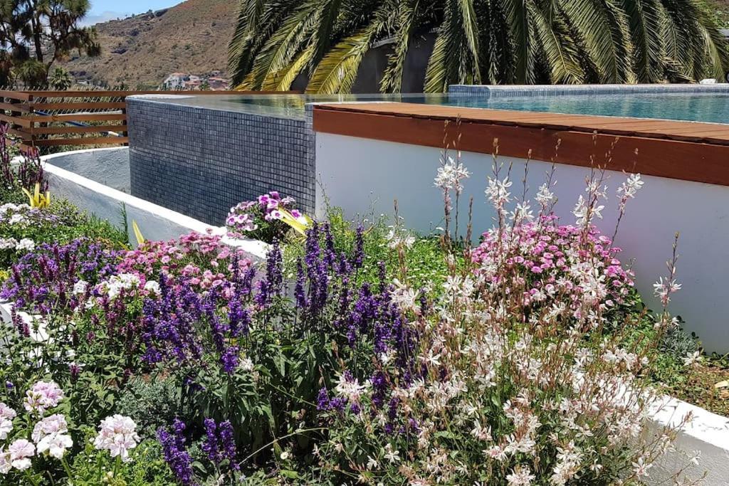 Casa Vina: A Spectacular Away From It All Holiday La Orotava Exterior foto